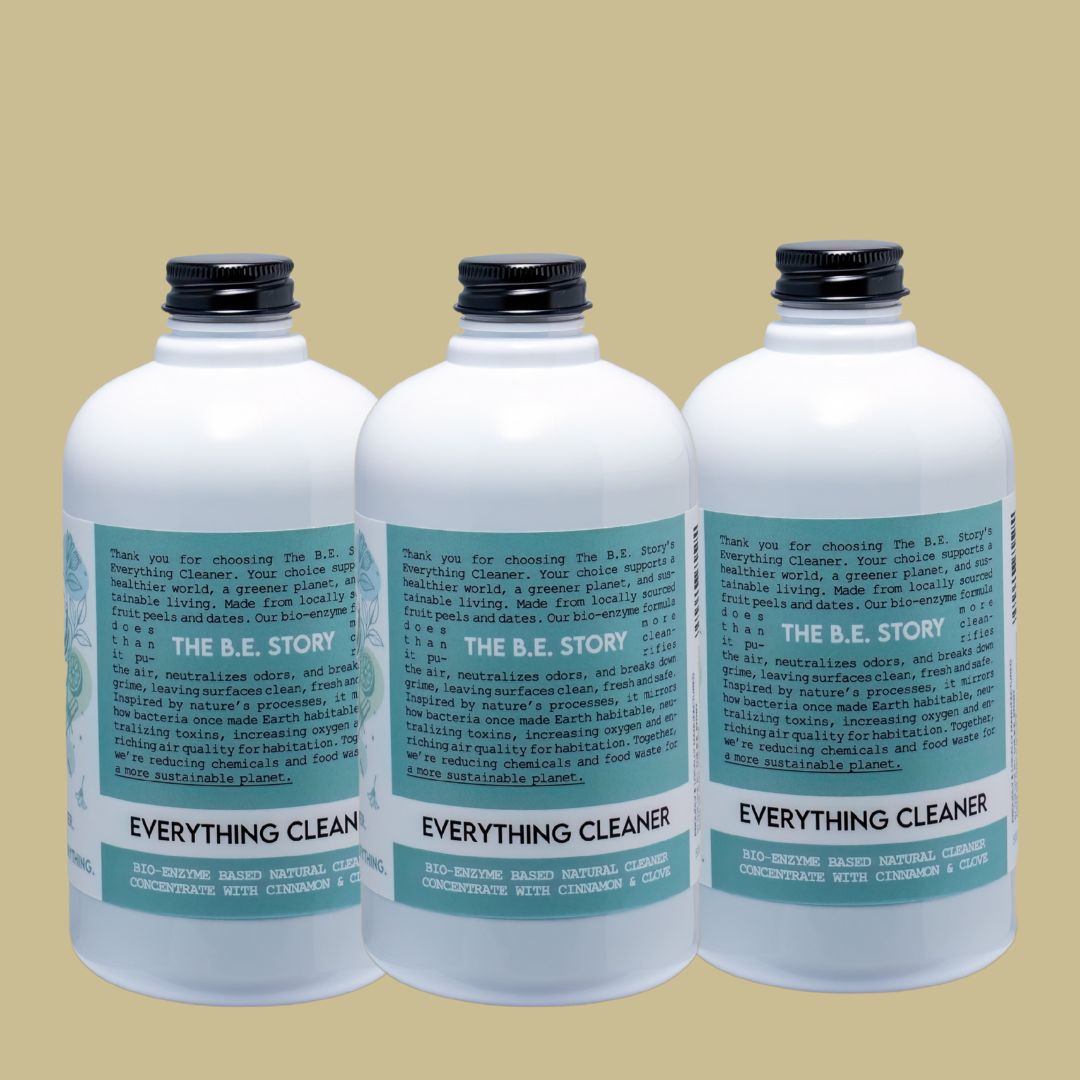 Everything cleaner 500ml