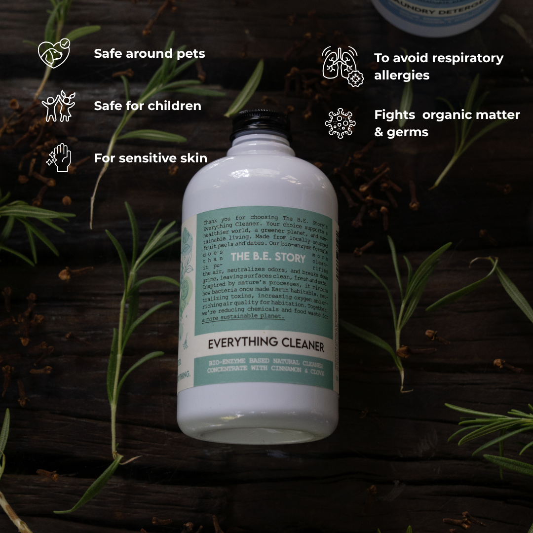 Everything cleaner 500ml