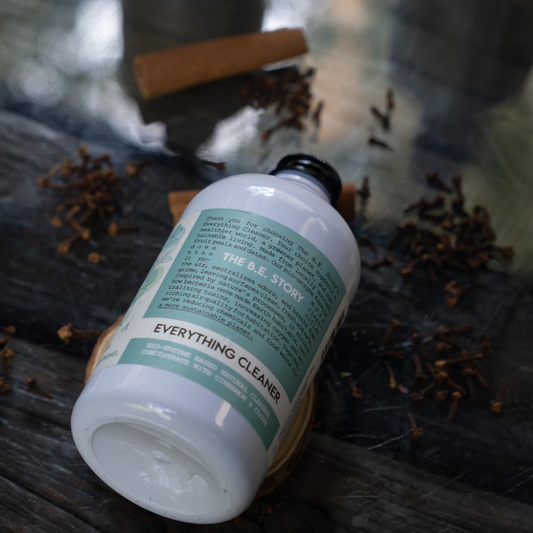 Everything cleaner 500ml